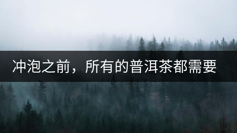 沖泡之前，所有的普洱茶都需要醒茶嗎？