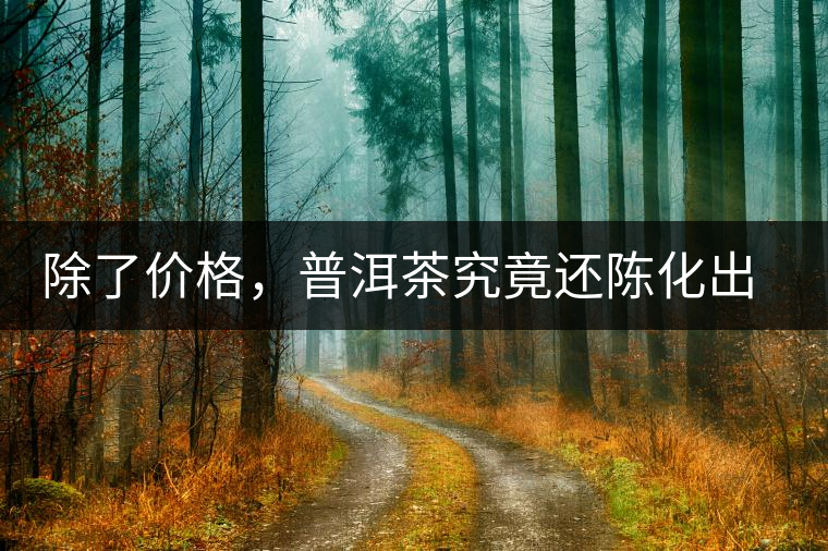 除了價(jià)格，普洱茶究竟還陳化出了啥？