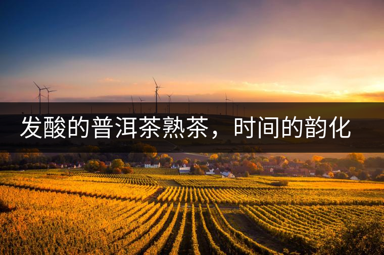 發(fā)酸的普洱茶熟茶，時(shí)間的韻化會(huì)讓它驚艷無比！