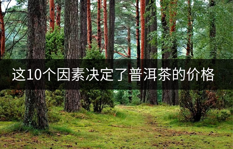 這10個因素決定了普洱茶的價格？