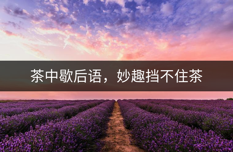 茶中歇后語，妙趣擋不住茶