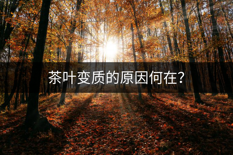茶葉變質(zhì)的原因何在？