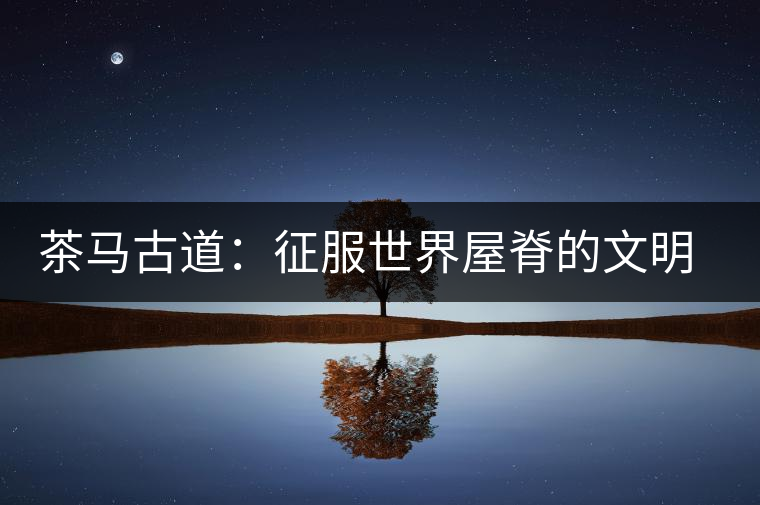 茶馬古道:征服世界屋脊的文明通道 茶馬古道:征服世界屋脊的文明通道