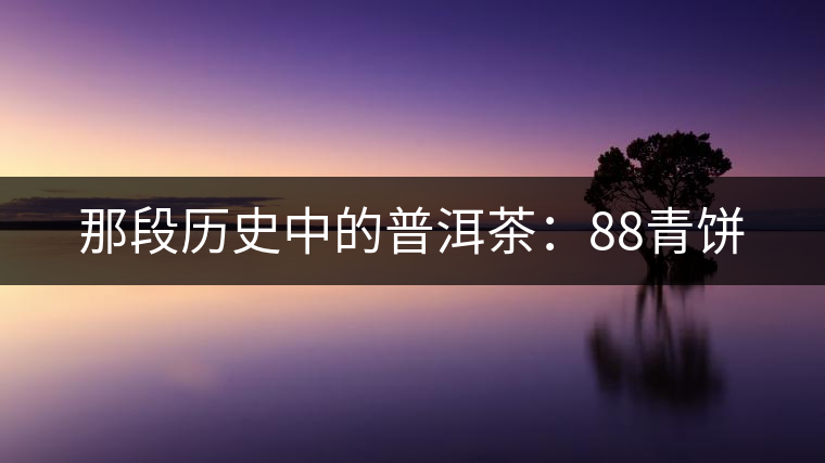 那段歷史中的普洱茶：88青餅