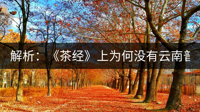 解析：《茶經(jīng)》上為何沒有云南普洱茶 ？