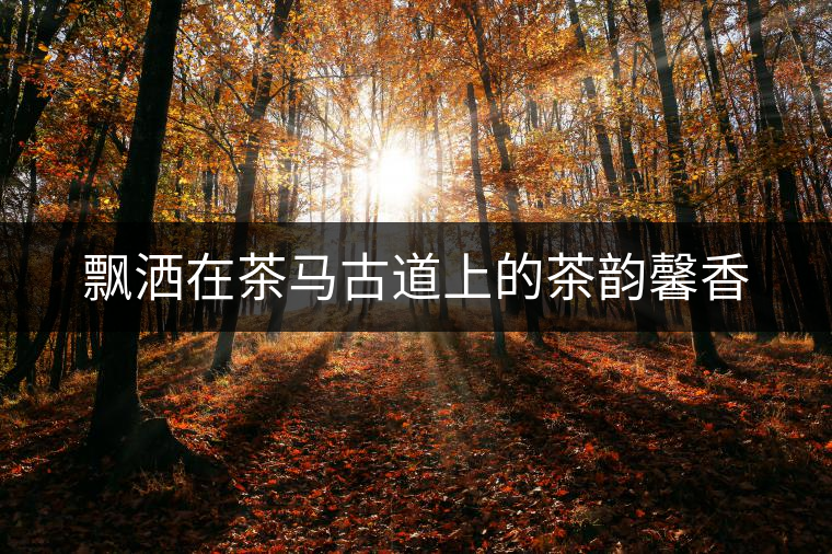 飄灑在茶馬古道上的茶韻馨香