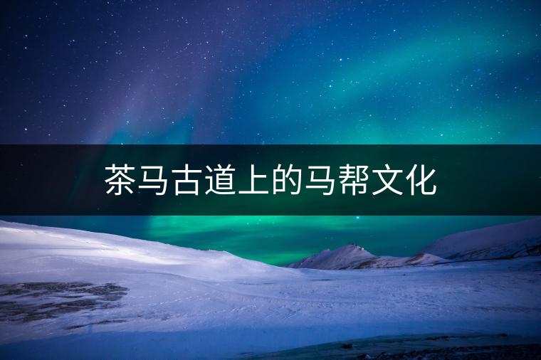茶馬古道上的馬幫文化 茶馬古道上的馬幫文化