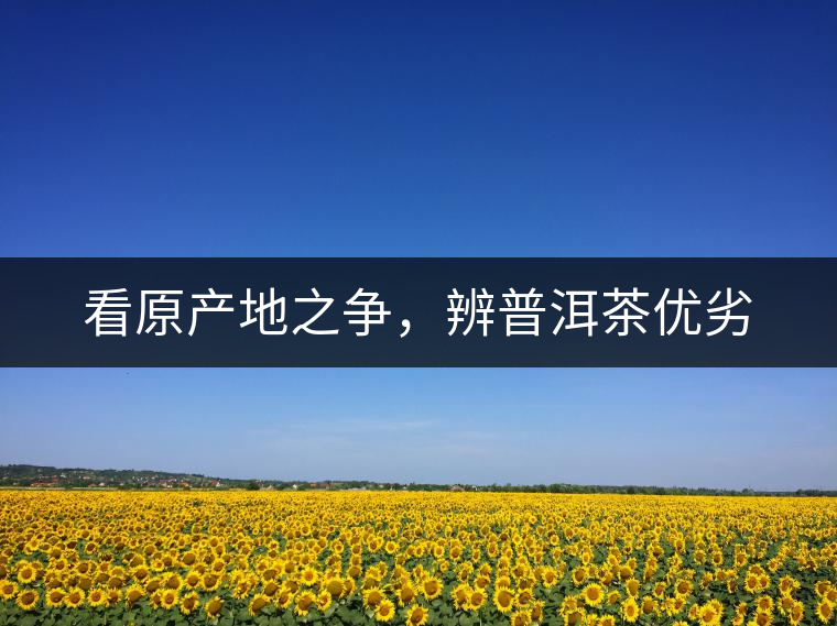看原產(chǎn)地之爭，辨普洱茶優(yōu)劣