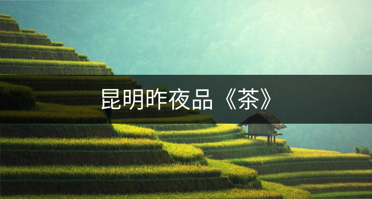 昆明昨夜品《茶》 昆明昨夜品《茶》