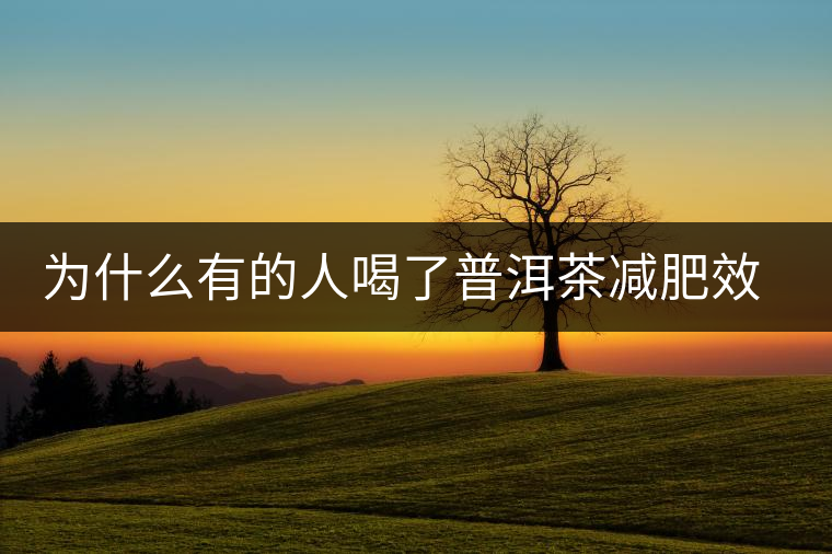 為什么有的人喝了普洱茶減肥效果不明顯呢？