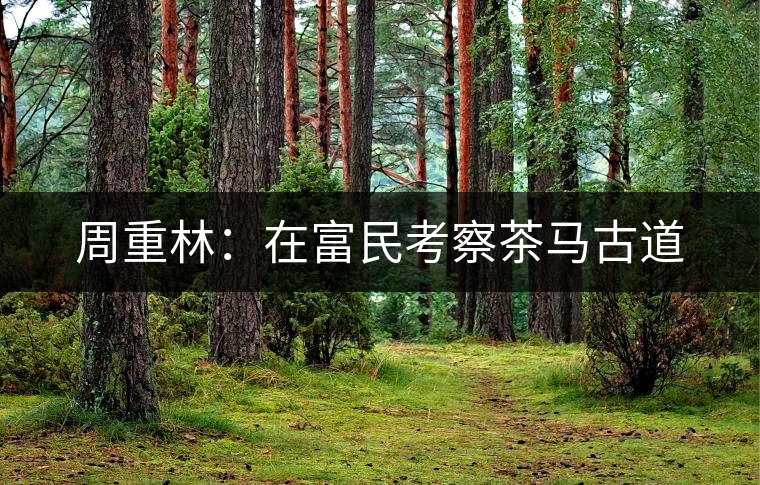 周重林:在富民考察茶馬古道 周重林:在富民考察茶馬古道