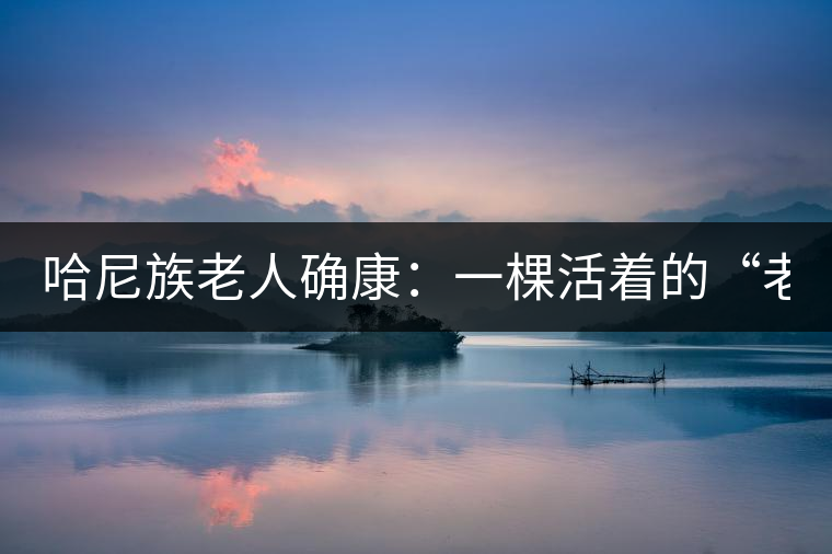 哈尼族老人確康：一棵活著的“老茶樹”