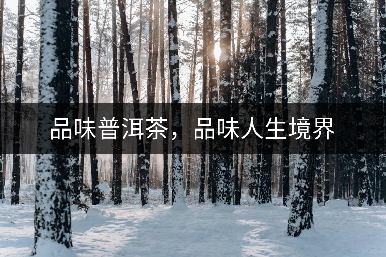 品味普洱茶，品味人生境界