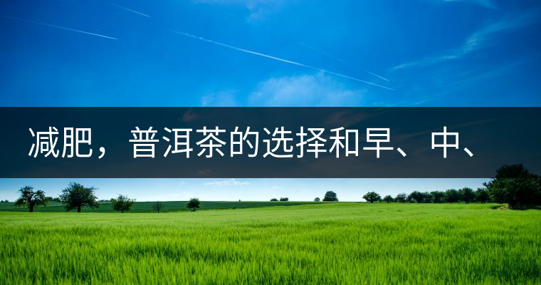 減肥，普洱茶的選擇和早、中、晚的喝法