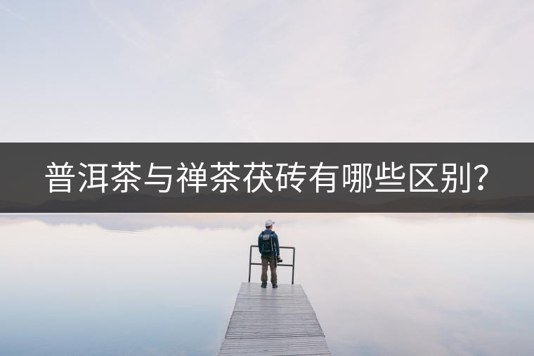 普洱茶與禪茶茯磚有哪些區(qū)別？