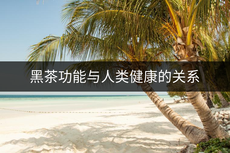 黑茶功能與人類(lèi)健康的關(guān)系