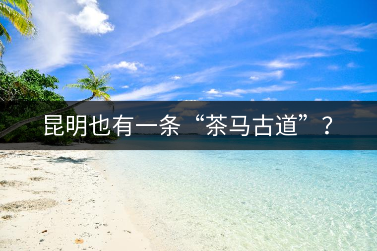 昆明也有一條“茶馬古道”? 昆明也有一條“茶馬古道”?