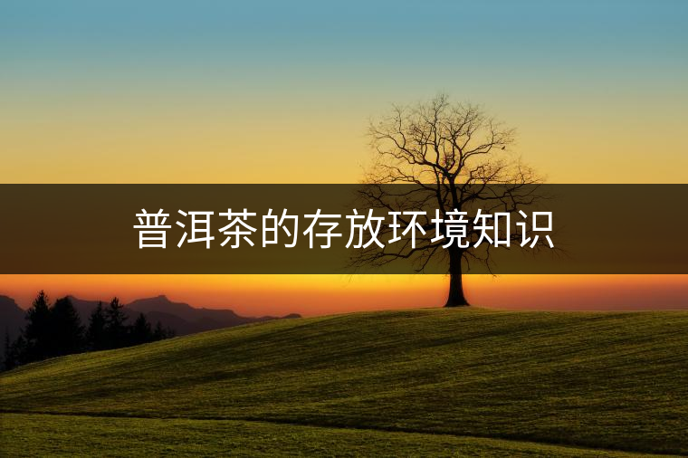 普洱茶的存放環(huán)境知識(shí)
