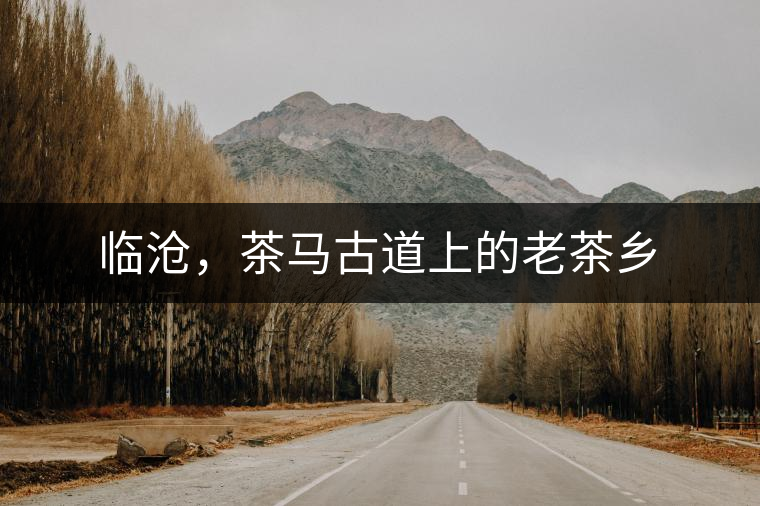 臨滄，茶馬古道上的老茶鄉(xiāng)