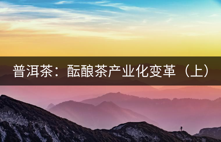 普洱茶:醞釀茶產(chǎn)業(yè)化變革(上) 普洱茶:醞釀茶產(chǎn)業(yè)化變革(上)
