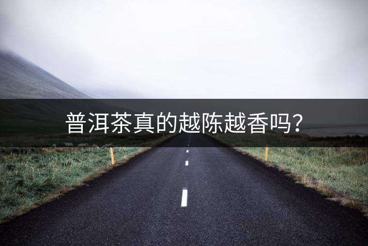 普洱茶真的越陳越香嗎？