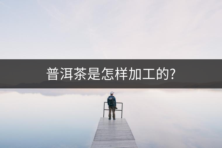 普洱茶是怎樣加工的?