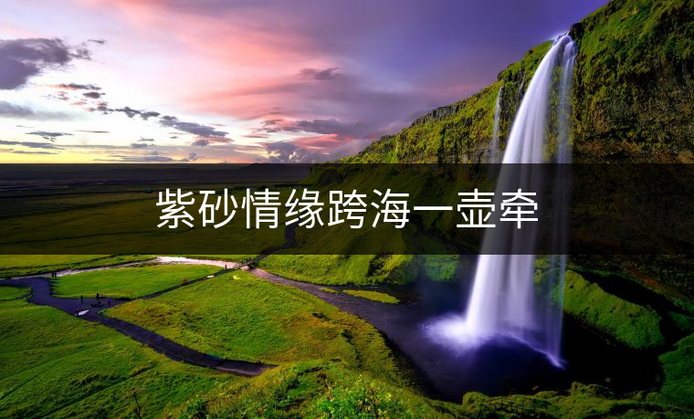 紫砂情緣跨海一壺牽 紫砂情緣跨海一壺牽