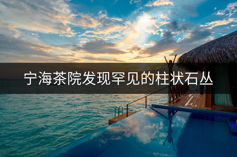 寧海茶院發(fā)現罕見的柱狀石叢 寧海茶院發(fā)現罕見的柱狀石叢