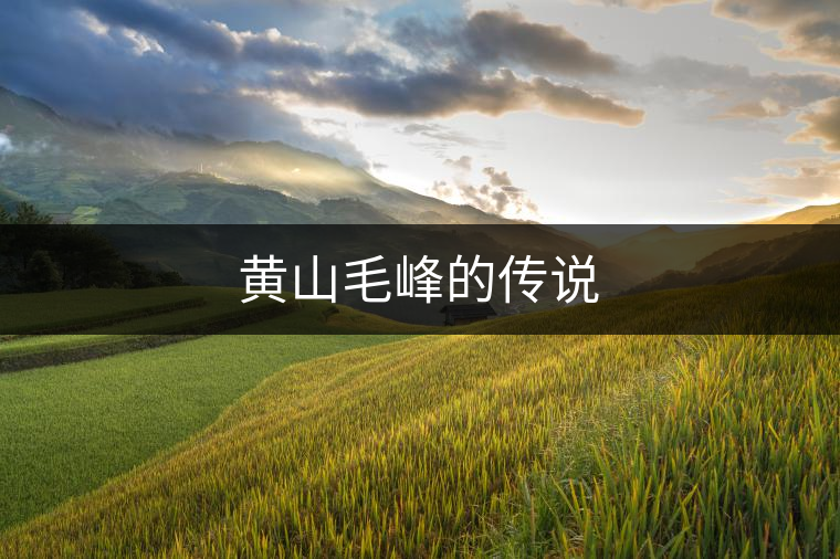 黃山毛峰的傳說(shuō)