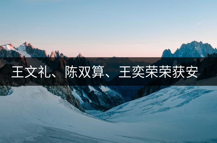 王文禮、陳雙算、王奕榮榮獲安溪茶界三杰