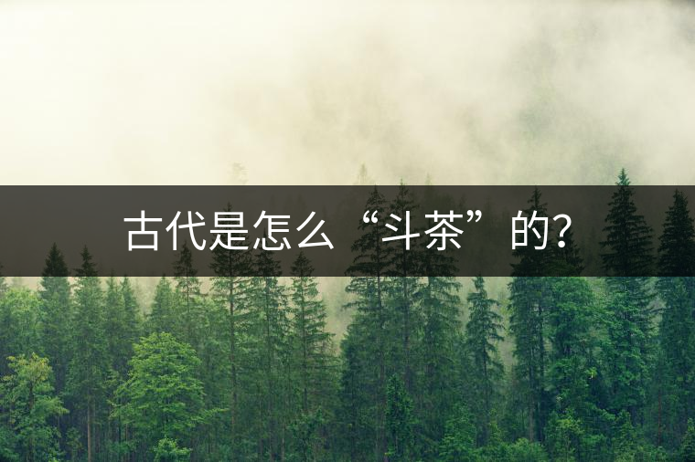 古代是怎么“斗茶”的？