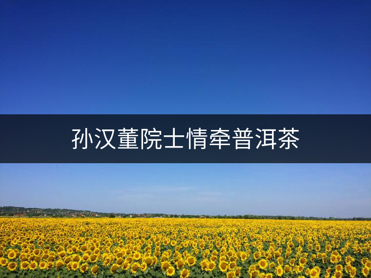 孫漢董院士情牽普洱茶 孫漢董院士情牽普洱茶