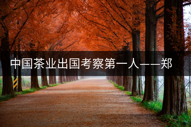 中國茶業(yè)出國考察第一人——鄭世璜 中國茶業(yè)出國考察第一人——鄭世璜