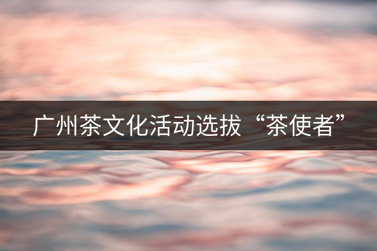 廣州茶文化活動(dòng)選拔“茶使者”