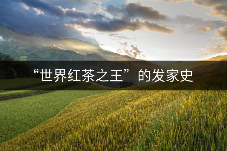 “世界紅茶之王”的發(fā)家史