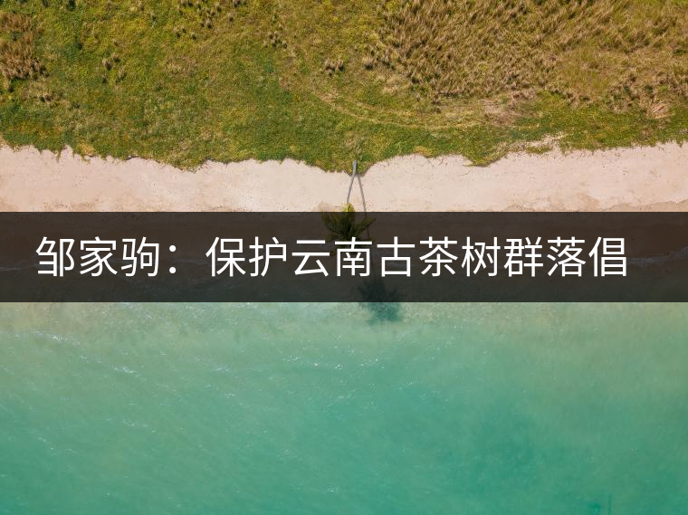 鄒家駒:保護(hù)云南古茶樹群落倡議書 鄒家駒:保護(hù)云南古茶樹群落倡議書