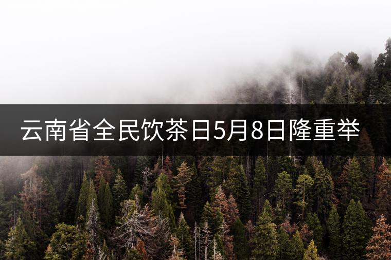 云南省全民飲茶日5月8日隆重舉行 云南省全民飲茶日5月8日隆重舉行