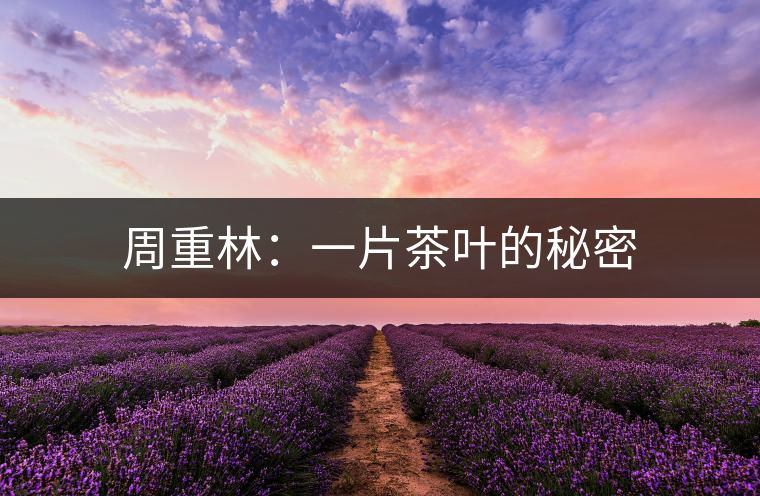 周重林:一片茶葉的秘密 周重林:一片茶葉的秘密