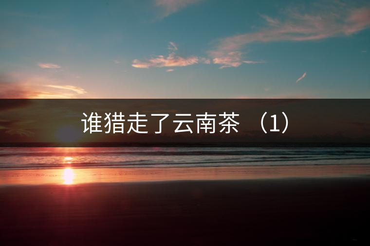 誰獵走了云南茶 (1) 誰獵走了云南茶 (1)