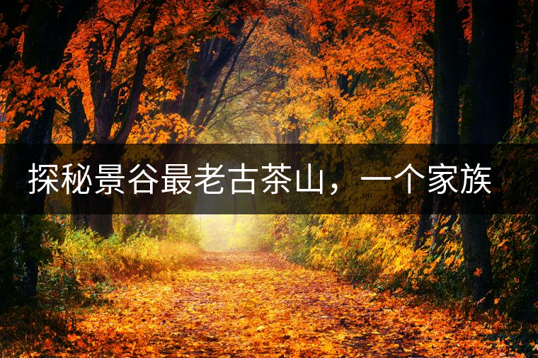 探秘景谷最老古茶山，一個家族的興茶往事