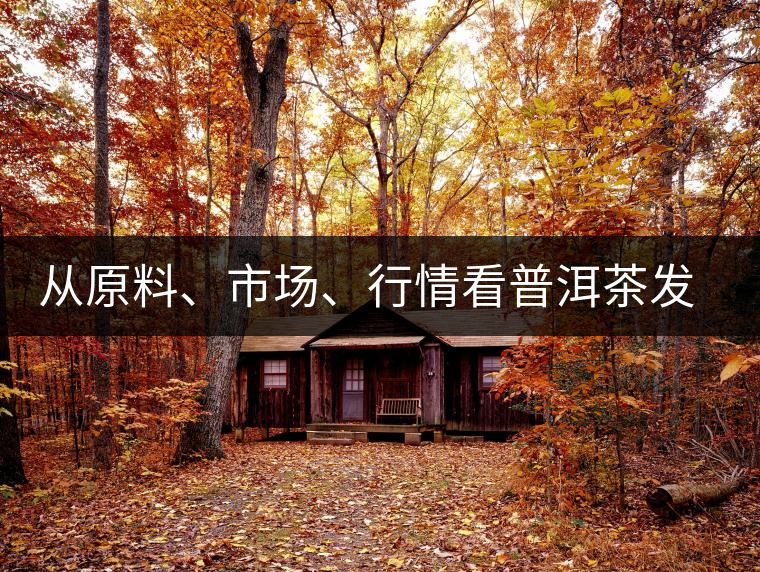 從原料、市場(chǎng)、行情看普洱茶發(fā)展大勢(shì)