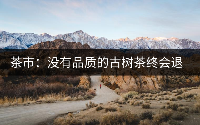 茶市：沒(méi)有品質(zhì)的古樹(shù)茶終會(huì)退出市場(chǎng)