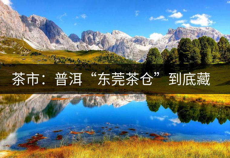 茶市：普洱“東莞茶倉(cāng)”到底藏給誰喝？