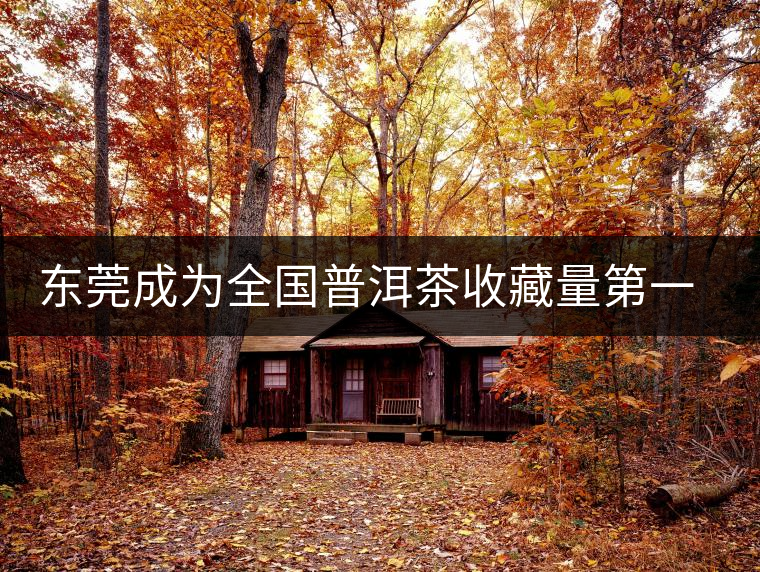 東莞成為全國普洱茶收藏量第一位的城市？