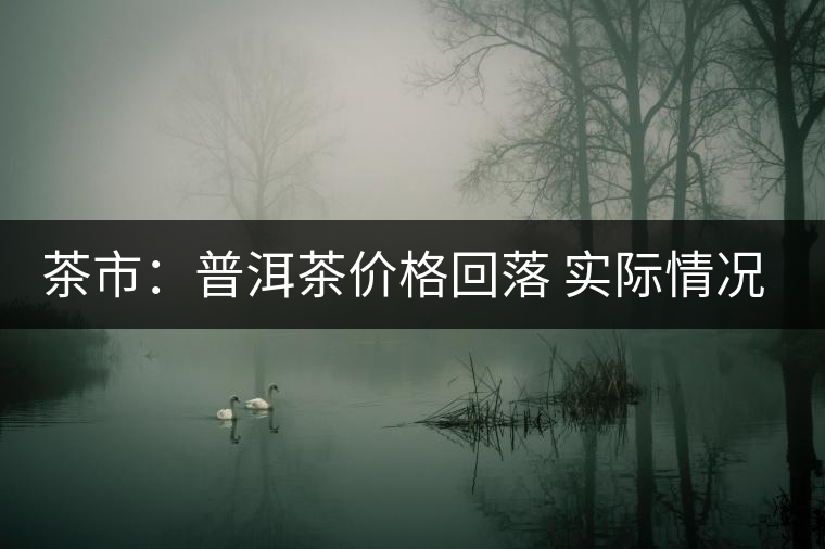 茶市：普洱茶價格回落 實際情況究竟如何？