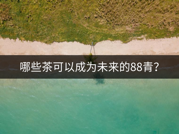 哪些茶可以成為未來的88青？