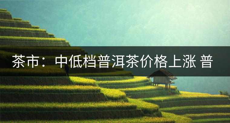 茶市:中低檔普洱茶價(jià)格上漲 普洱市場(chǎng)漸趨理性 茶市:中低檔普洱茶價(jià)格上漲 普洱市場(chǎng)漸趨理性