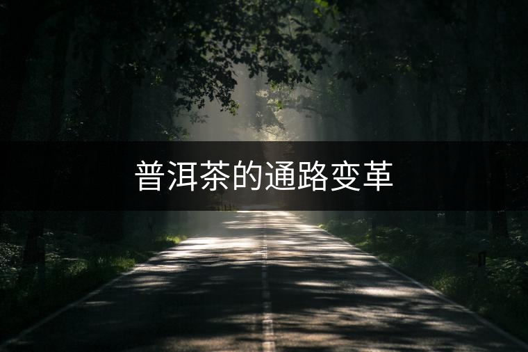 普洱茶的通路變革 普洱茶的通路變革