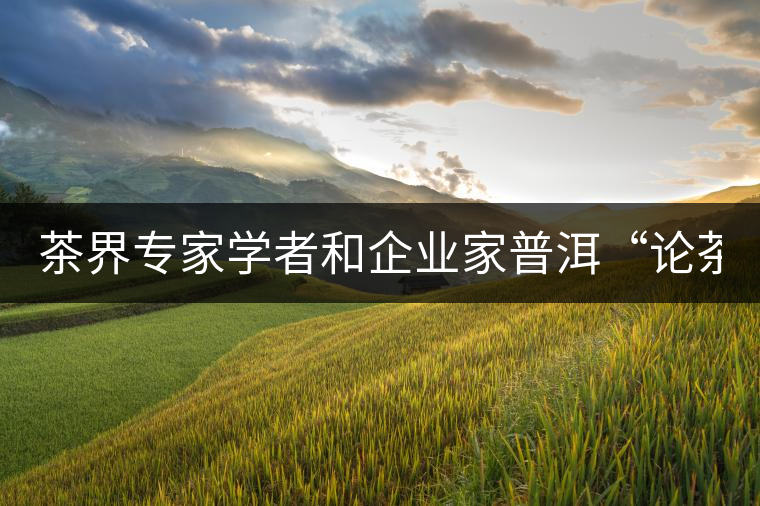 茶界專家學(xué)者和企業(yè)家普洱“論茶” 茶界專家學(xué)者和企業(yè)家普洱“論茶”
