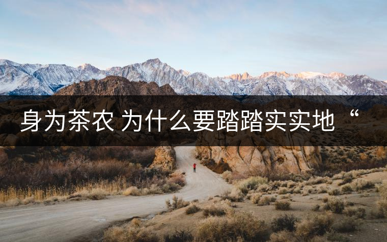 身為茶農(nóng) 為什么要踏踏實(shí)實(shí)地“放毒”！